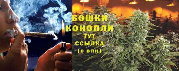спайс Баксан