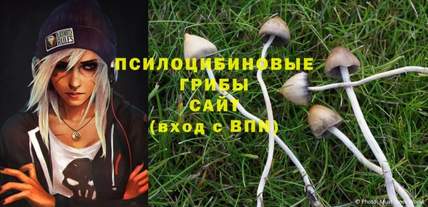 таблы Медвежьегорск