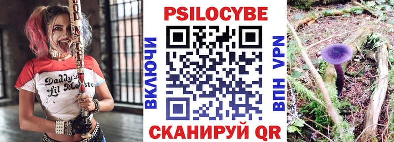 Псилоцибиновые грибы прущие грибы  Ермолино 